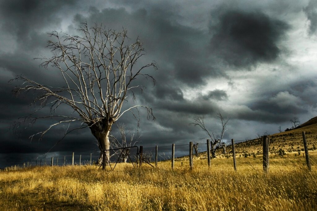 Alerta Laranja, ele geralmente descreve as condições climáticas esperadas para um período de 24 a 48 horas. A informação é disseminada por meio de notificações em aplicativos de clima, sites de meteorologia e até mesmo pela televisão e rádio.