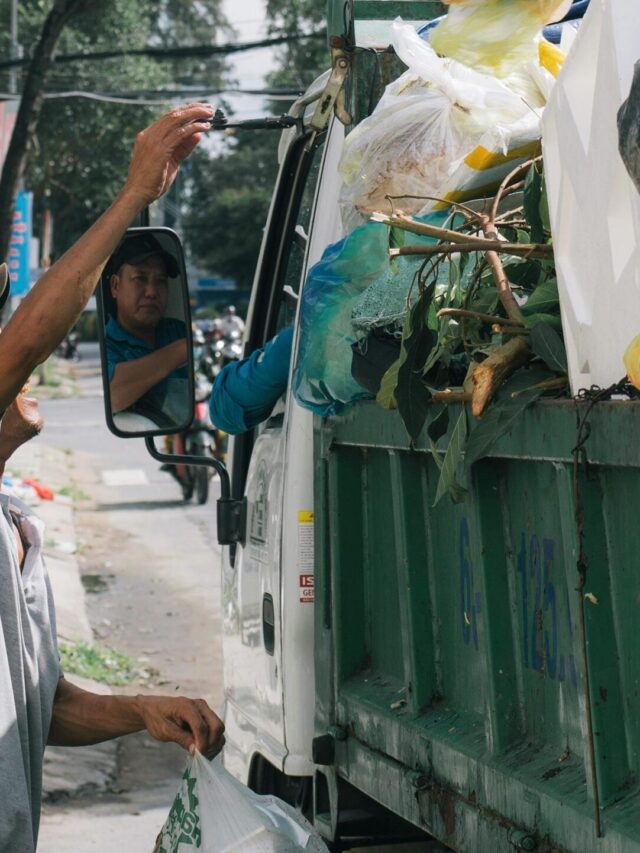 Reciclagem: Como Transformar Lixo em Riqueza!